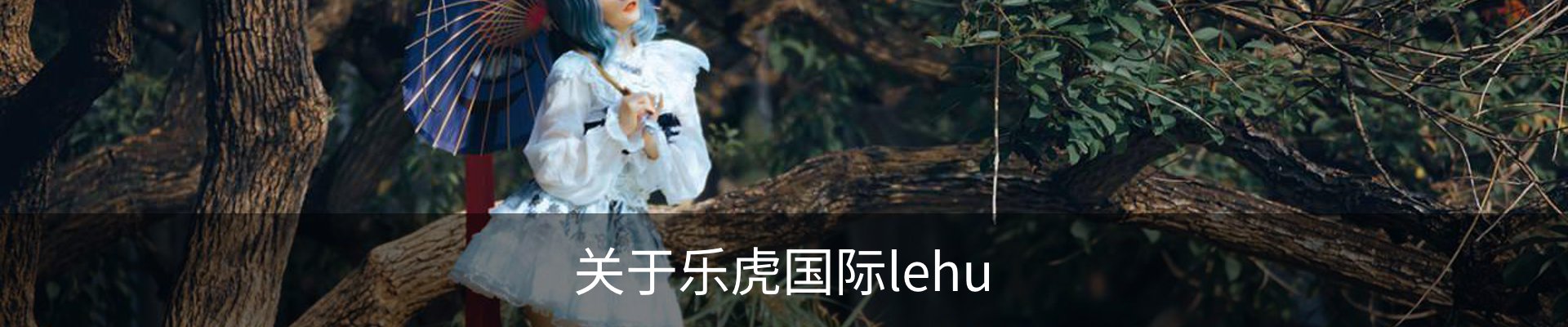 关于乐虎国际lehu