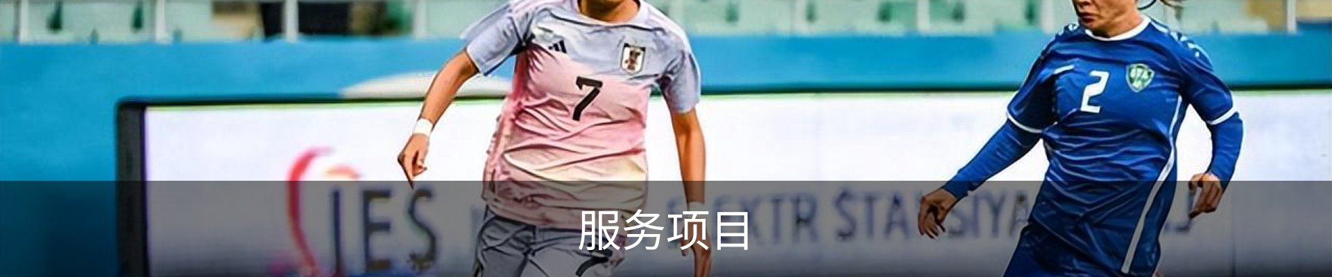 服务项目